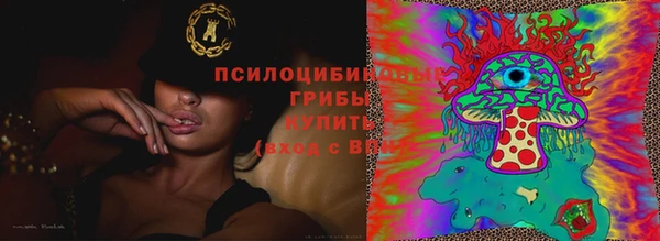 эйфоретик Баксан