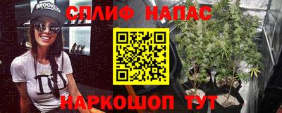 PSILOCYBIN Апшеронск