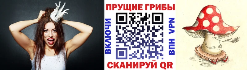 Галлюциногенные грибы ЛСД  блэк спрут сайт  Белебей 