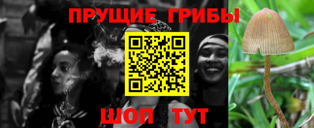 Галлюциногенные грибы Magic Shrooms Белебей