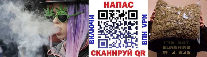 Конопля гибрид  Белебей 
